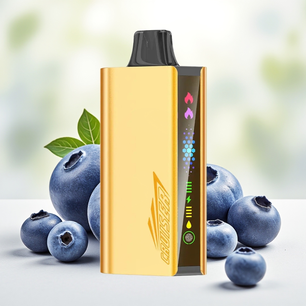 JNR Cruiser 12000 Puffs Одноразова Електронна Сигарета Без Зарядки 25мл 50мг/мл Чорничка