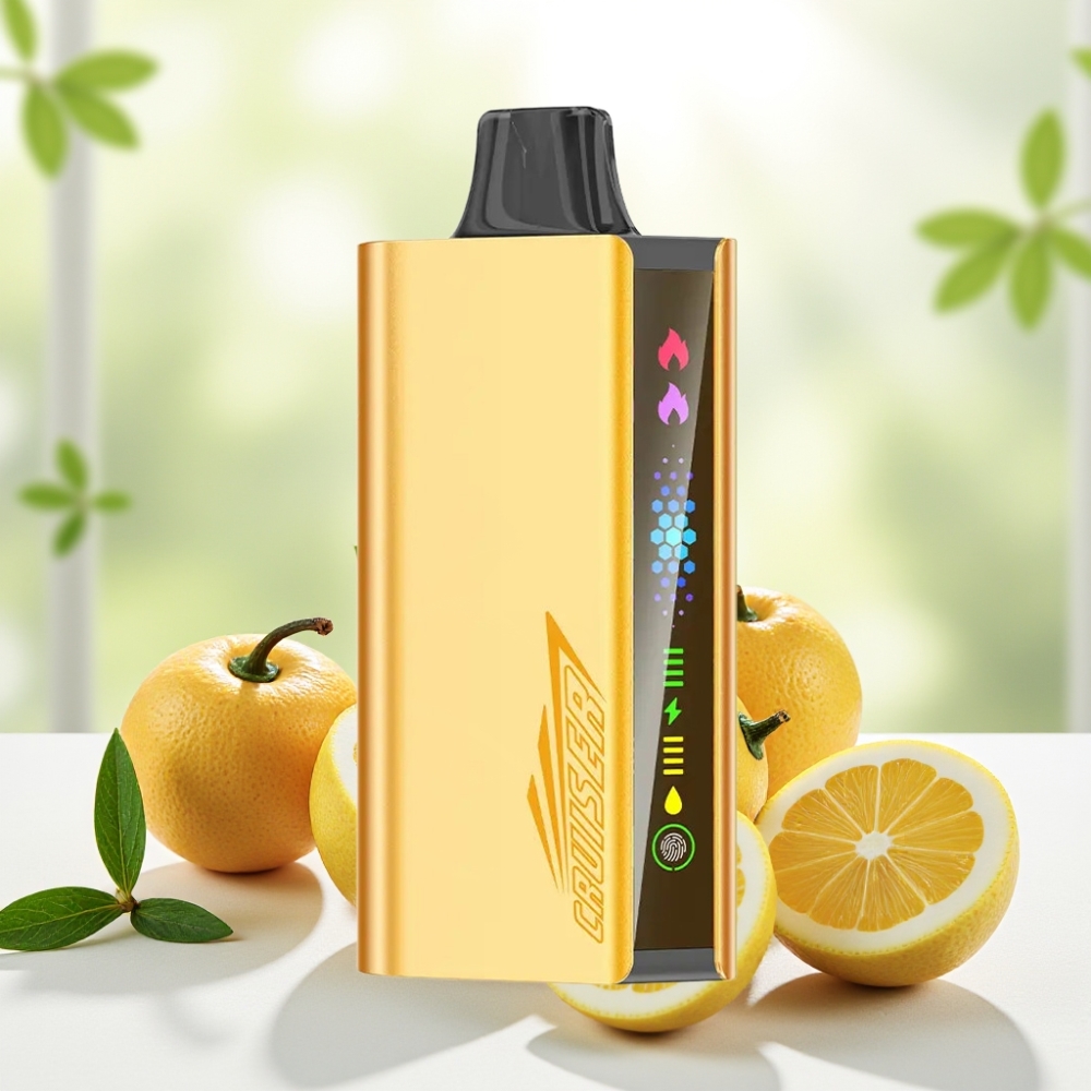 JNR Cruiser 12000 Puffs Беззарядний Одноразовий Вейп Cool Mint 25мл 50мг/мл Dual Mesh