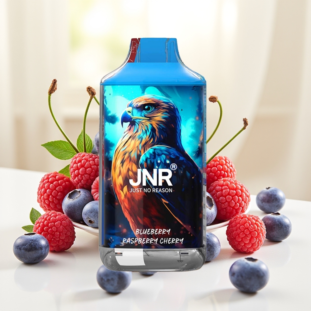 JNR Falcon 16000 Puffs 850mAh 22ml Dual Mesh Coil Type C Черниця Малина Вишня