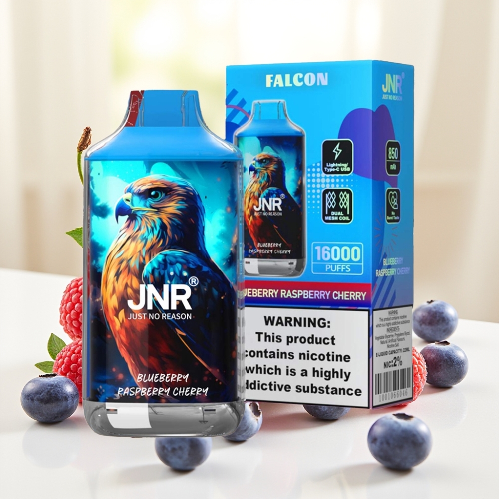 JNR Falcon 16000 Puffs 850mAh 22ml Dual Mesh Coil Type C Черниця Малина Вишня