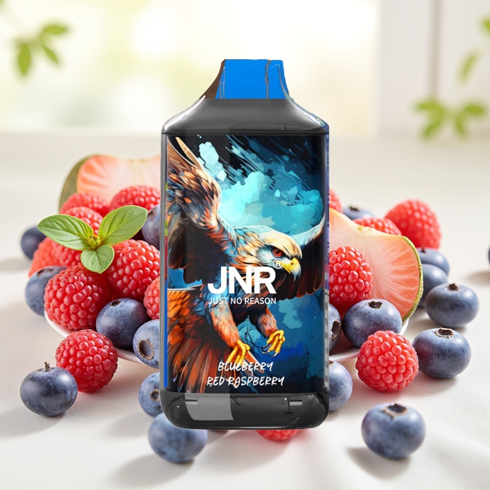 JNR Falcon 16000 Puffs Чорниця Малина 850mAh 22ml Dual Mesh Type C LED 0% 2%