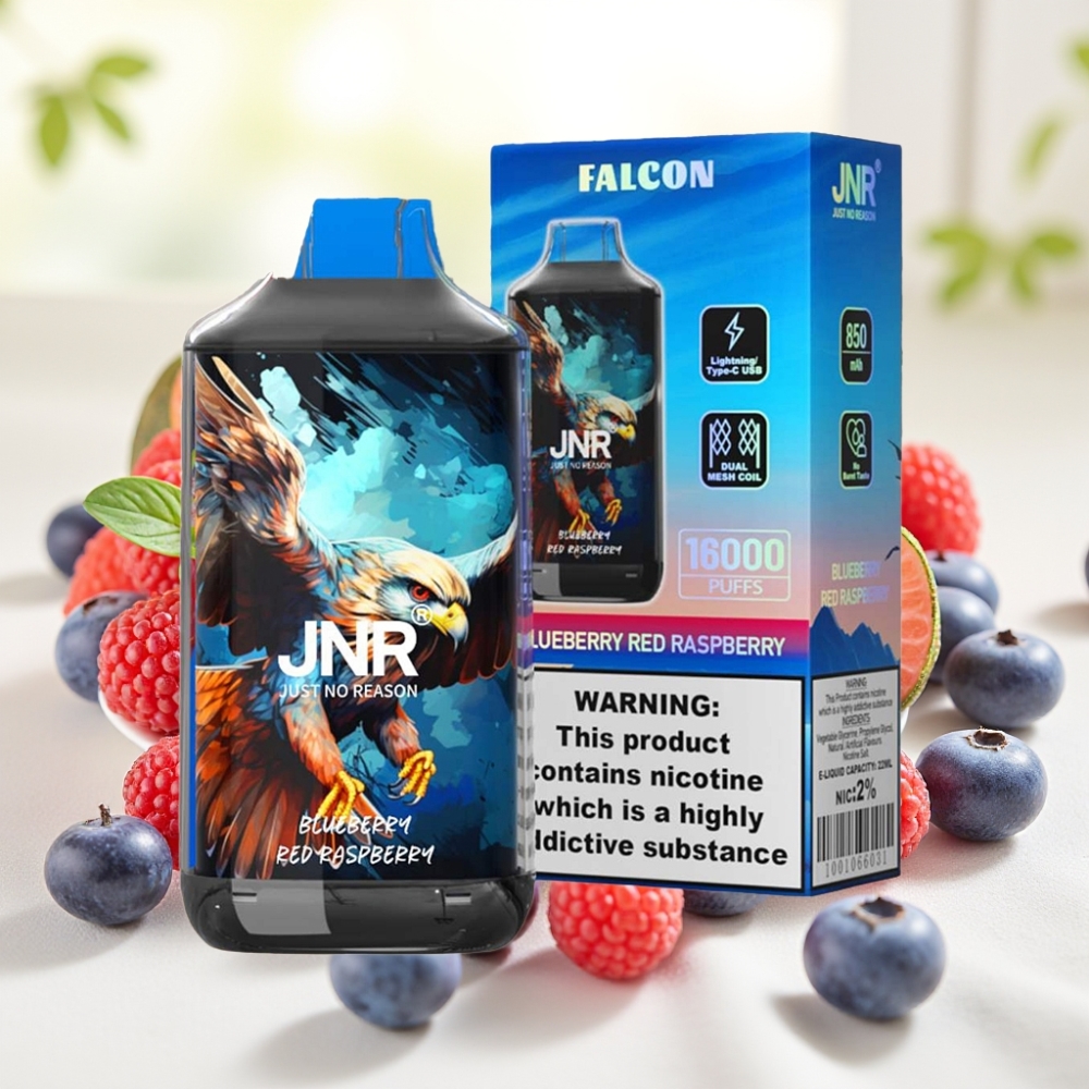 JNR Falcon 16000 Puffs Чорниця Малина 850mAh 22ml Dual Mesh Type C LED 0% 2%