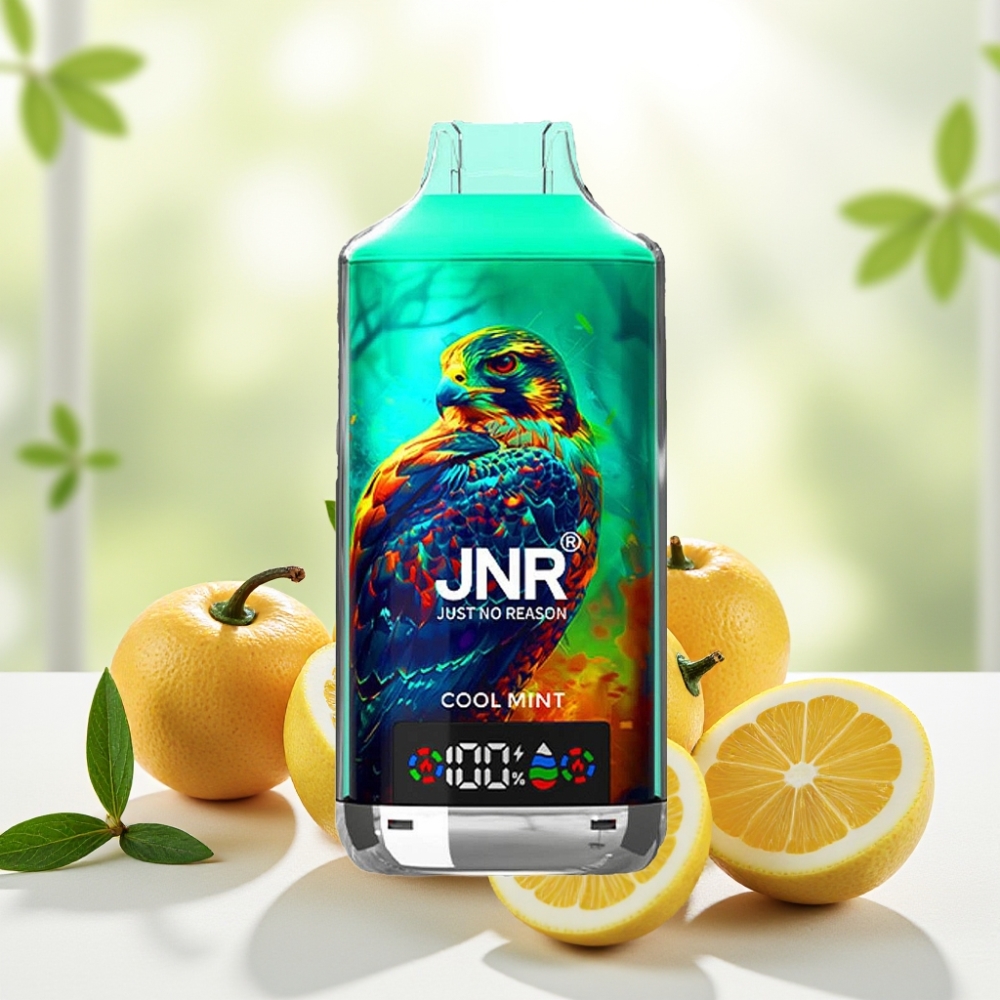 JNR Falcon X 18000 Puffs Прохолодна М’ята 750mAh 24ml Dual Mesh Coil Digital Display Type-C