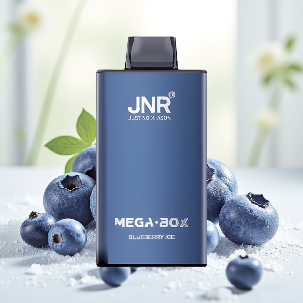JNR Mega Box 25000 Затягів Disposable Vape Чорниця Лід, 30мл, 850мАг, Dual Mesh Coil