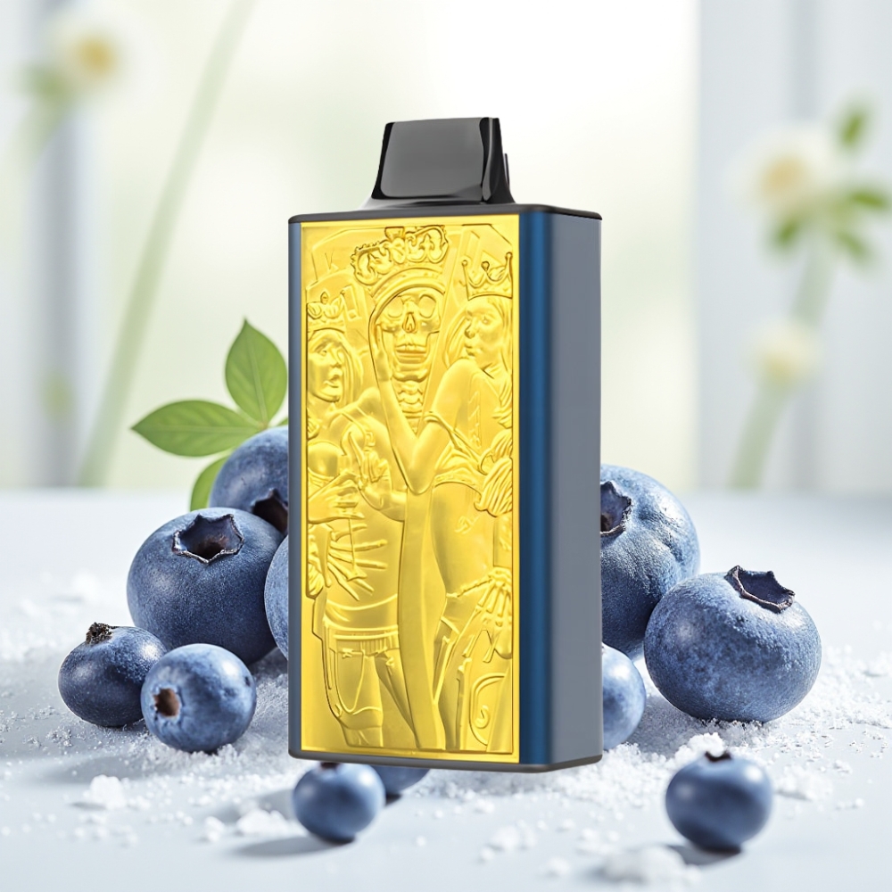 JNR Mega Box 25000 Затягів Disposable Vape Чорниця Лід, 30мл, 850мАг, Dual Mesh Coil