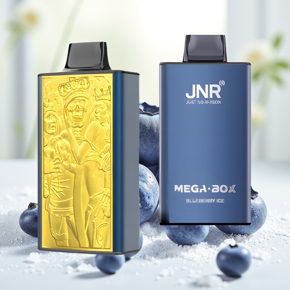 JNR Mega Box 25000 Затягів Disposable Vape Чорниця Лід, 30мл, 850мАг, Dual Mesh Coil