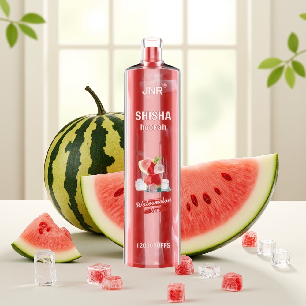 JNR Shisha Hookah 12000 Puffs Кавун Лід 750mAh 24ml 0.6Ω Mesh