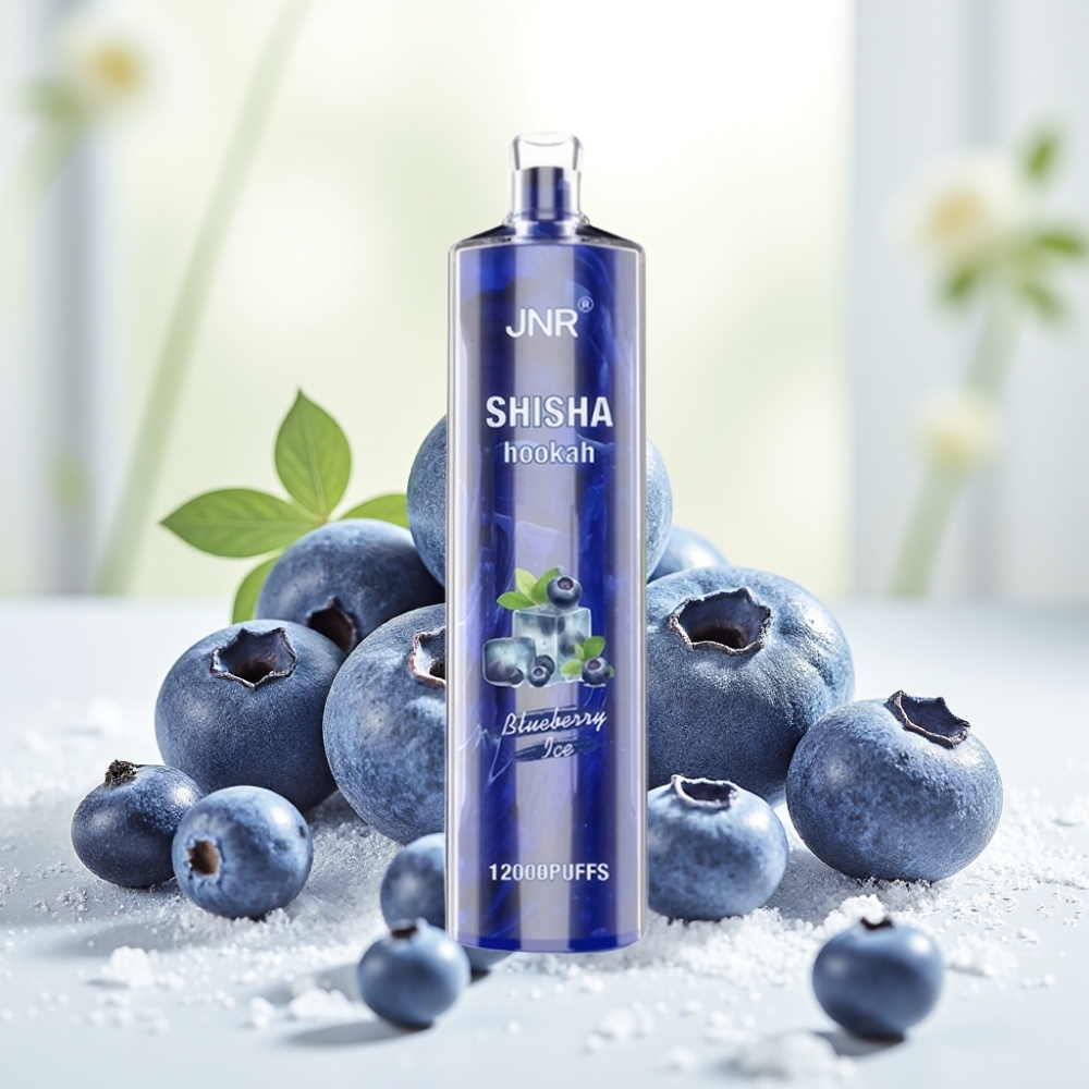 JNR Shisha Hookah 12000 Puffs Blueberry Ice 750mAh 24ml 0.6Ω