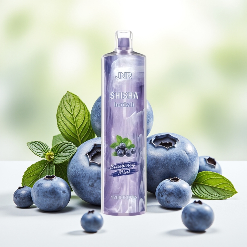 JNR Shisha Hookah 12000 Puffs Blueberry Mint 750mAh 24ml 0.6Ohm Type-C