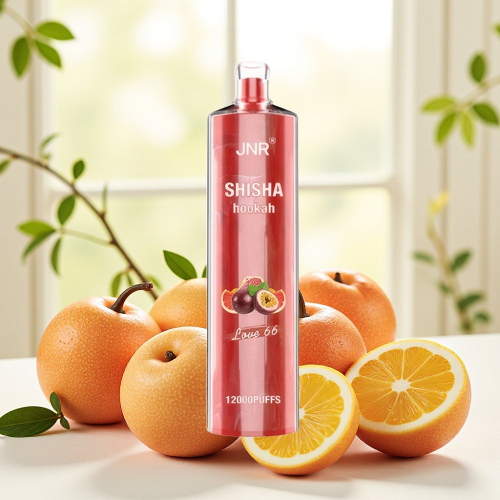 JNR Shisha Hookah 12000 Puffs Love 66 750mAh 24ml 0.6Ω