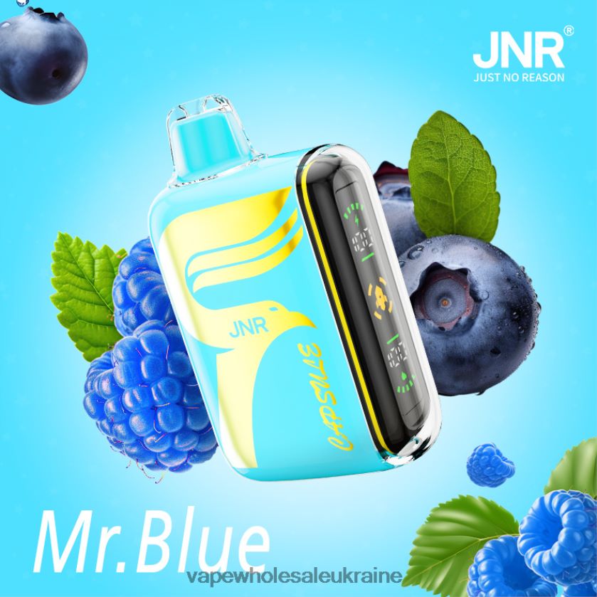 mr.blue